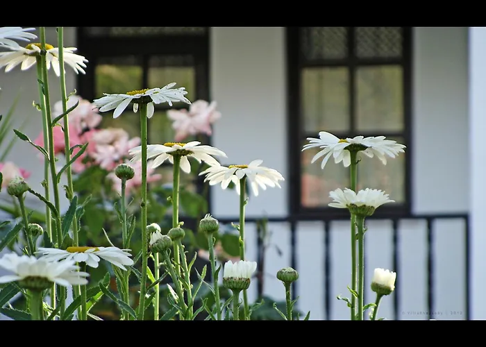 Guest house Rhapsody