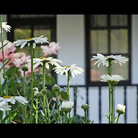 Affittacamere Rhapsody