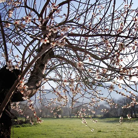 Πανσιόν Rhapsody