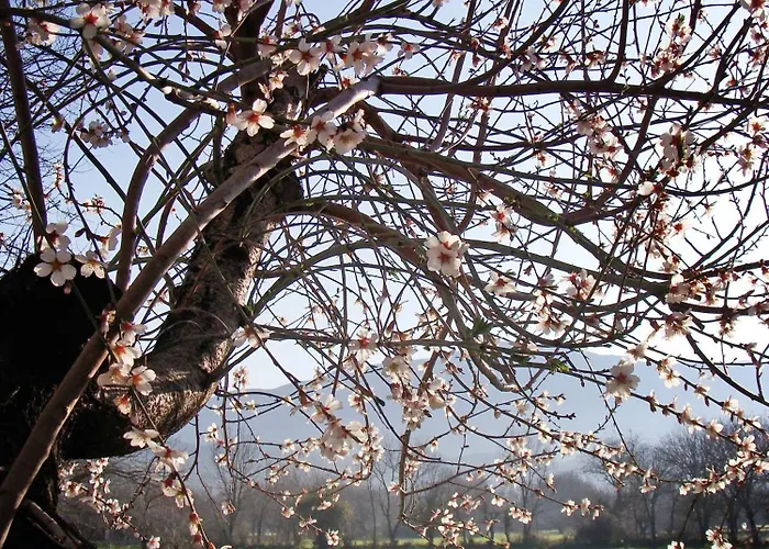 Vendégház Rhapsody